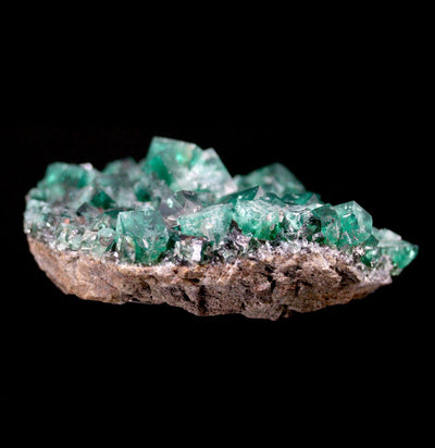 Emerald Peaks Fluorite Crystal Cluster - Paxton Gate