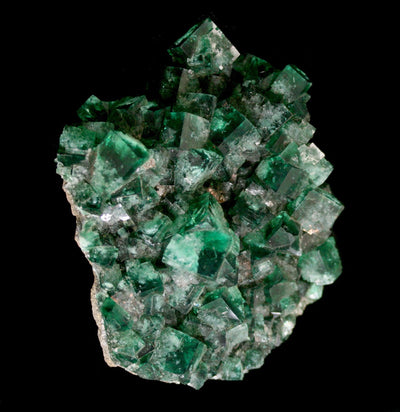 Emerald Peaks Fluorite Crystal Cluster - Paxton Gate