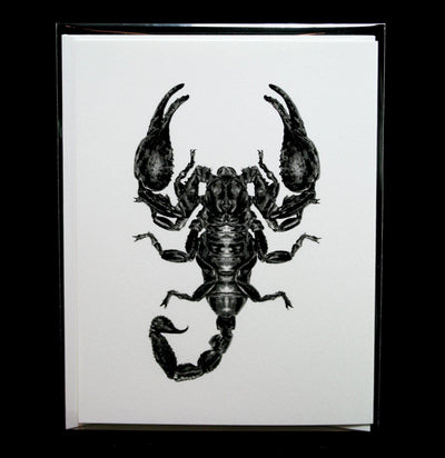 Emperor Scorpion Greeting Card - Paxton Gate