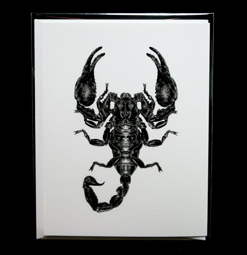 Emperor Scorpion Greeting Card - Paxton Gate