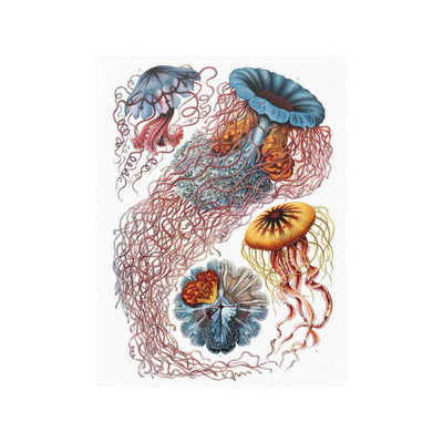 Ernst Haeckel's Art Forms In Nature: Discomedusae Satin Posters - Paxton Gate