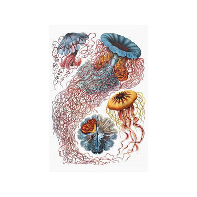 Ernst Haeckel's Art Forms In Nature: Discomedusae Satin Posters - Paxton Gate