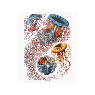 Ernst Haeckel's Art Forms In Nature: Discomedusae Satin Posters - Paxton Gate