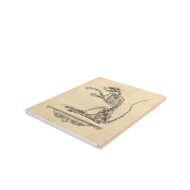 Fancy Rat Skeleton Greeting Card Pack - Paxton Gate