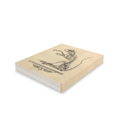 Fancy Rat Skeleton Greeting Card Pack - Paxton Gate