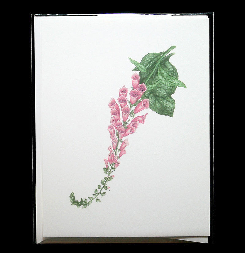 Foxglove Greeting Card - Paxton Gate