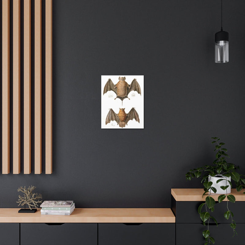 Free Tailed Bats Illustration Canvas Gallery Wraps-Canvas-Printify-PaxtonGate