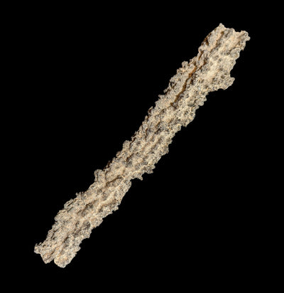 Fulgurite Specimen A-Minerals-Sahara Overland-PaxtonGate