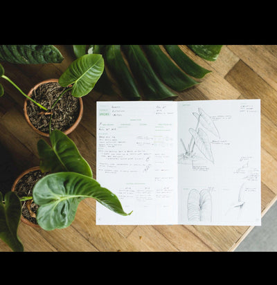 Grow a Damn Plant Journal - Paxton Gate