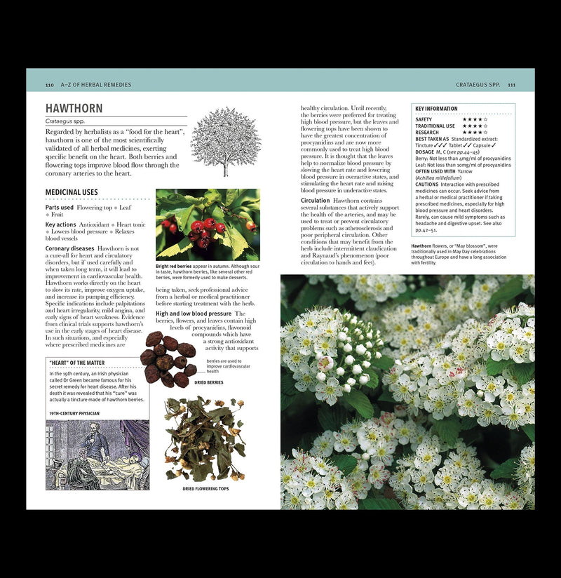 Herbal Remedies Handbook - Paxton Gate