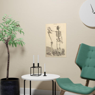 Human Skeleton And Large Leg Bone Matte Poster - Paxton Gate