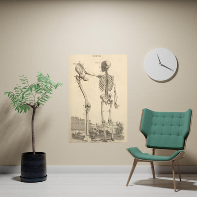 Human Skeleton And Large Leg Bone Matte Poster - Paxton Gate