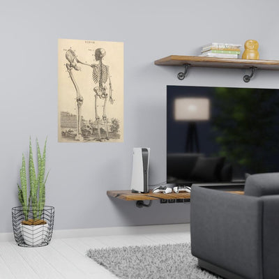 Human Skeleton And Large Leg Bone Matte Poster - Paxton Gate