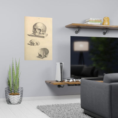 Human Skull Diagram Matte Poster - Paxton Gate