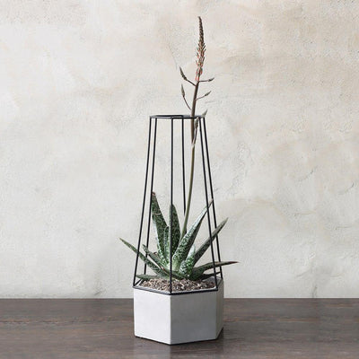 Indio Planter - Paxton Gate