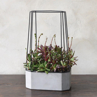 Indio Planter - Paxton Gate