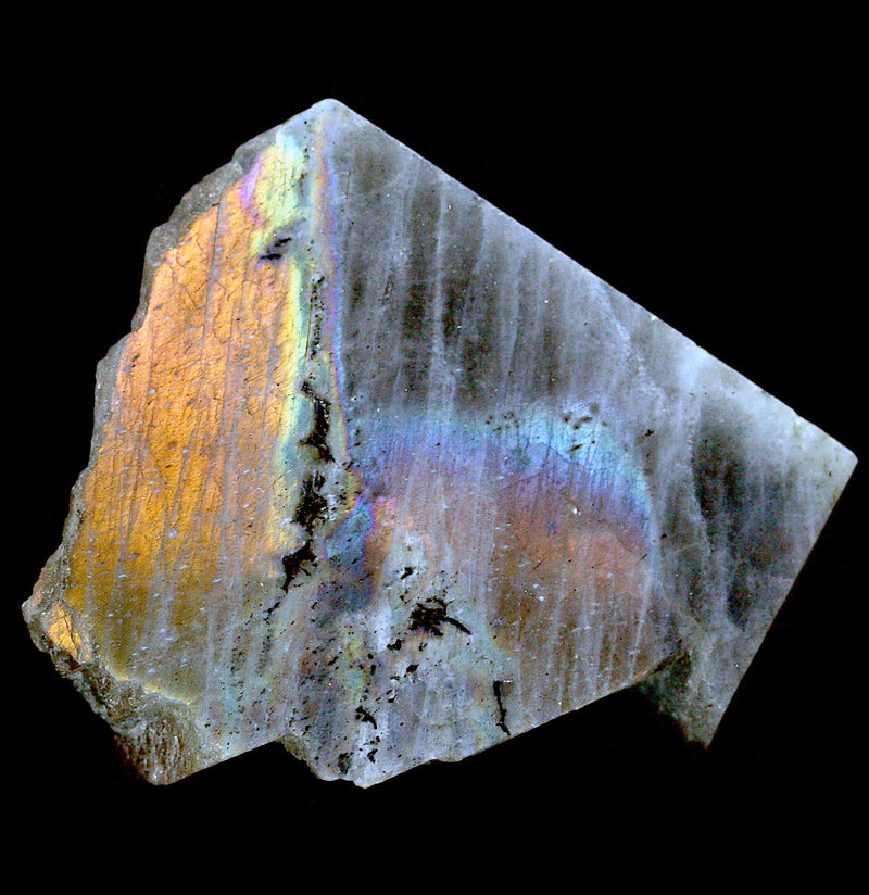 Labradorite Slice - Paxton Gate