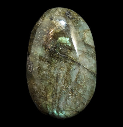 Tumbled Labradorite Palm Stone - Paxton Gate