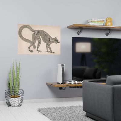 Lemur Skeleton Matte Poster - Paxton Gate