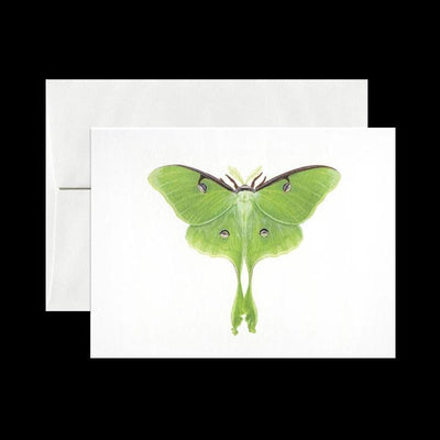 Luna Moth Card - Paxton Gate