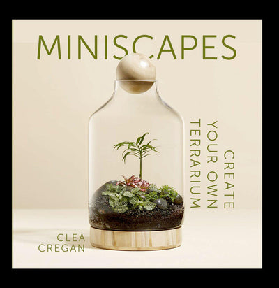 Miniscapes: Create your own Terrarium - Paxton Gate