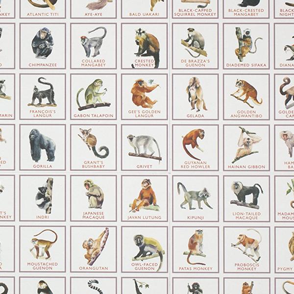 Monkey Bingo: And Other Primates - Paxton Gate