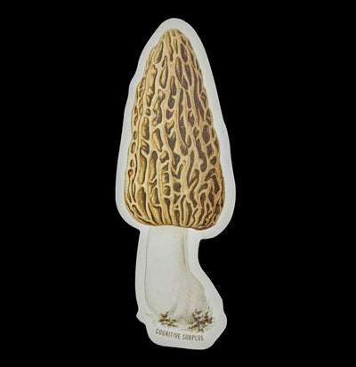 Morel Mushroom Sticker-Stickers-Cognitive Surplus-PaxtonGate