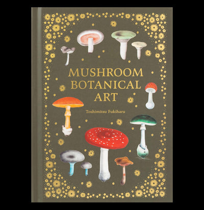 Mushroom Botanical Art - Paxton Gate