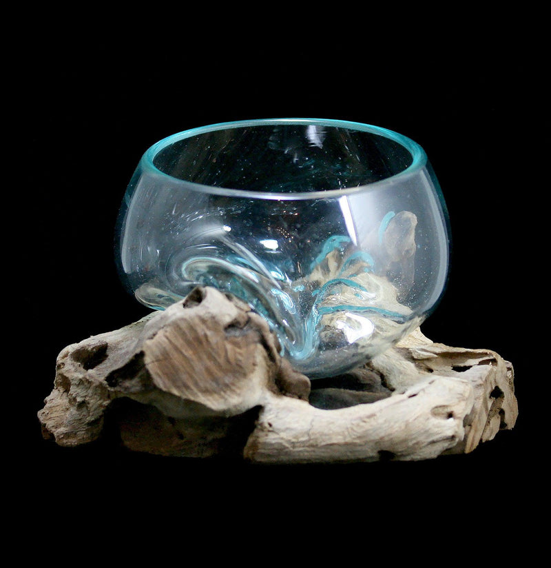 Natural Molten Glass Terrarium on Gamal Wood - Paxton Gate