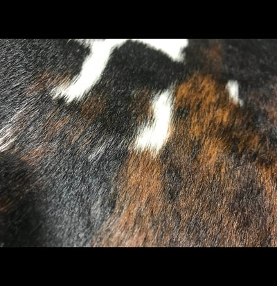 Tri Color Exotic Brindle Brazilian Cowhide-Taxidermy-Chesterfield-PaxtonGate