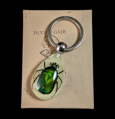 Glow In The Dark Rutelinae Beetle Keychain-Insects-Real Insect Company-PaxtonGate