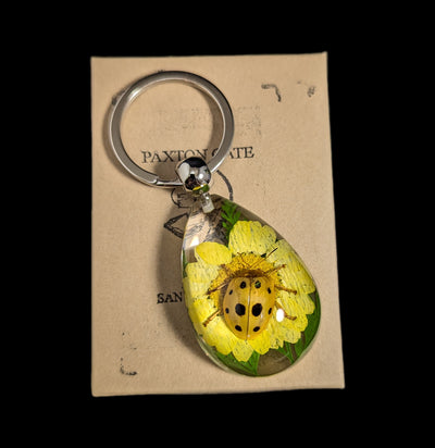 Ten Star Leaf Beetle Keychain-Insects-Real Insect Company-PaxtonGate