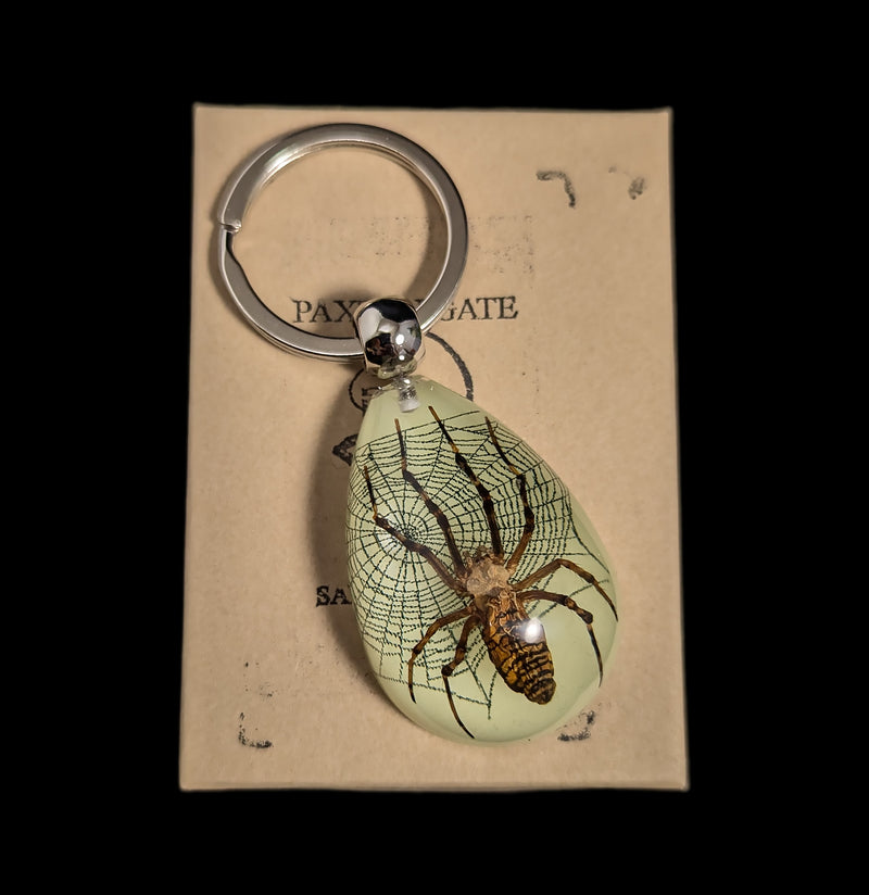 Spider With Glow In The Dark Web Keychain-Insects-Real Insect Company-PaxtonGate