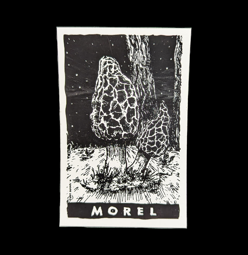 Sporelust Morel Mushroom Sticker-Stickers-Corvidopolis-PaxtonGate