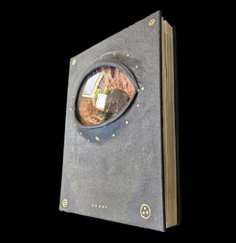 Big Book Eye-Artwork-Doug Rhodes-PaxtonGate