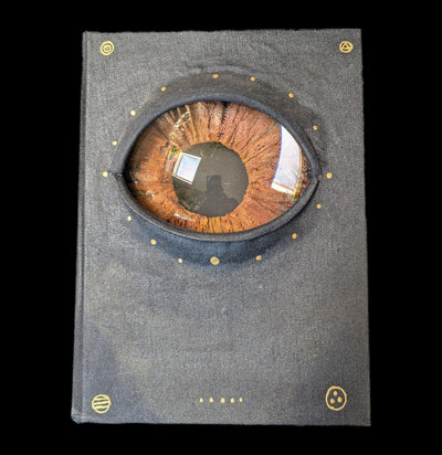 Big Book Eye-Artwork-Doug Rhodes-PaxtonGate