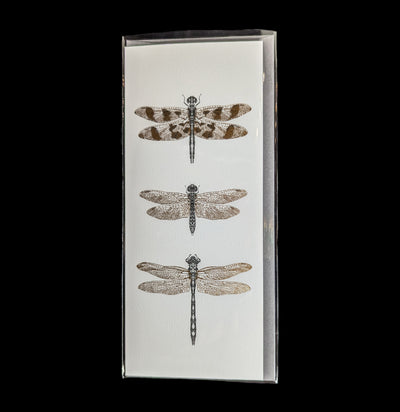 Dragonflies Foil Greeting Card-Cards-Open Sea-PaxtonGate