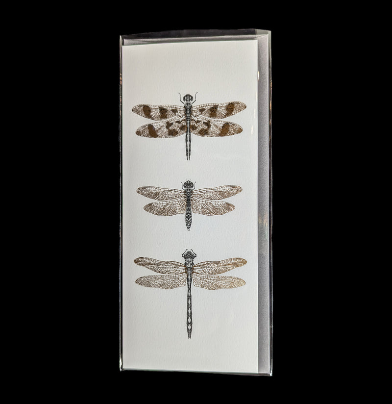 Dragonflies Foil Greeting Card-Cards-Open Sea-PaxtonGate