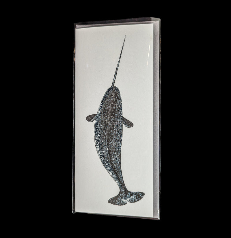 Narwhal Foil Greeting Card-Cards-Open Sea-PaxtonGate