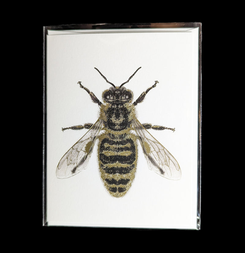 Honeybee Foil Greeting Card-Cards-Open Sea-PaxtonGate