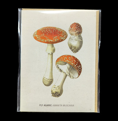 Fly Agaric Poisonous Mushroom Card-Cards-Cognitive Surplus-PaxtonGate