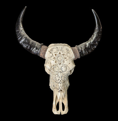 Carved Leaf Mandala Water buffalo Skull-Skulls-Ukir Bali Carvings-PaxtonGate