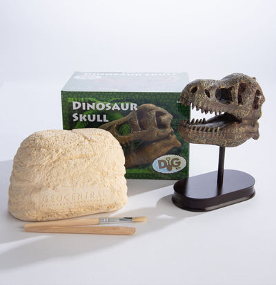 Excavation Kit: Dino Skull-Toys-GeoCentral-PaxtonGate