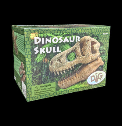 Excavation Kit: Dino Skull-Toys-GeoCentral-PaxtonGate