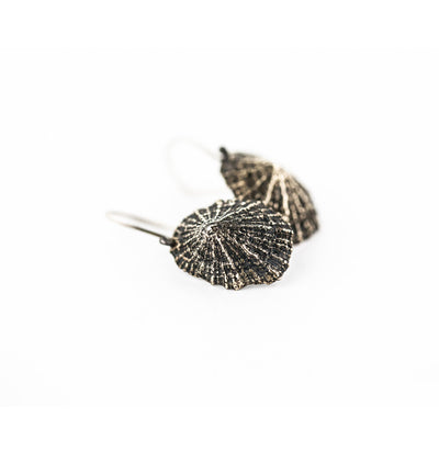 Limpet Shell Bronze Earrings-Earrings-Scavenger Gallery-PaxtonGate