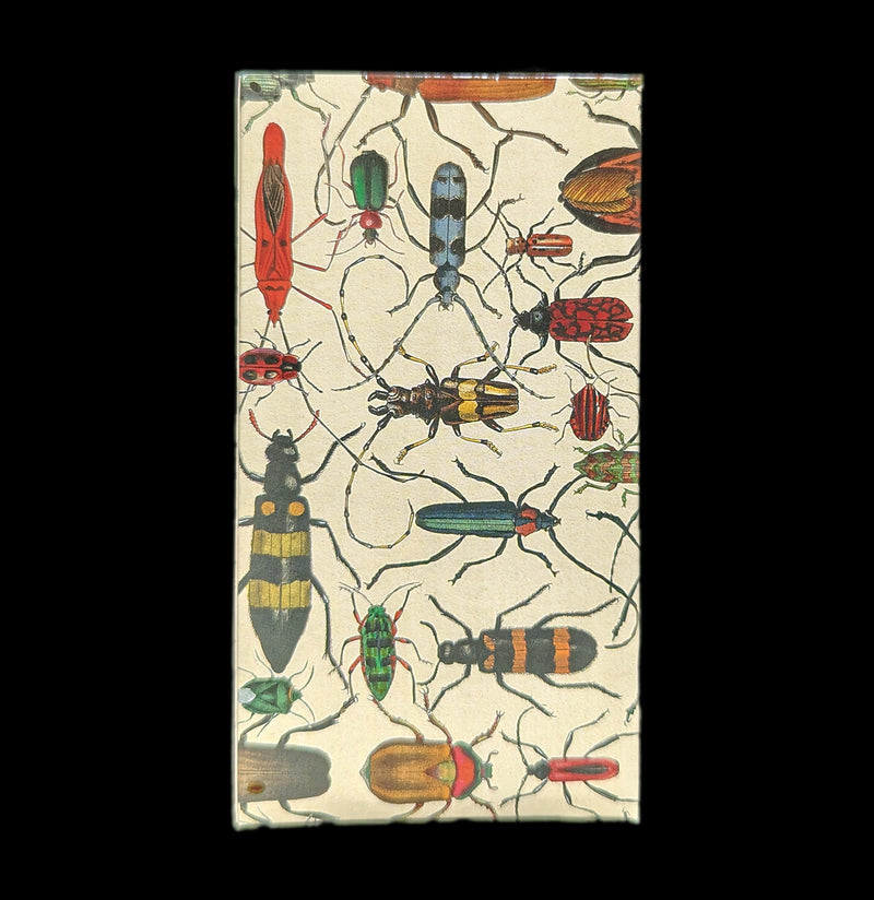 Mixed Beetles Matches-Matches-Hom Art-PaxtonGate