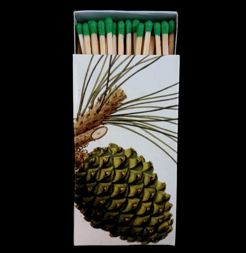 Pine Cone Matches - Paxton Gate