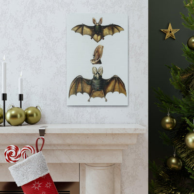 Plecotus Bat Illustrated By Charles Dessalines Canvas Gallery Wraps-Canvas-Printify-PaxtonGate