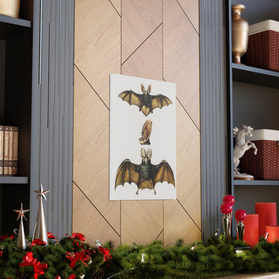 Plecotus Bat Illustrated By Charles Dessalines Canvas Gallery Wraps-Canvas-Printify-PaxtonGate