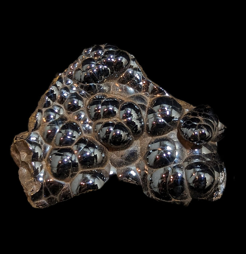 Polished Botryoidal Hematite-Minerals-Moussa-PaxtonGate